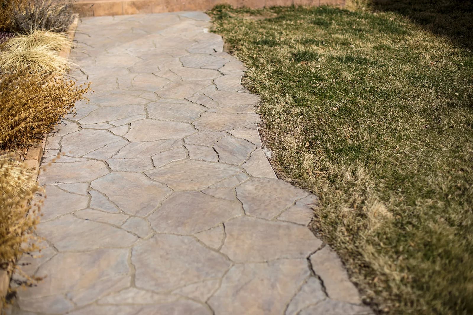 Custom interlocking paver patio with decorative border courses installed in Longmont, Colorado